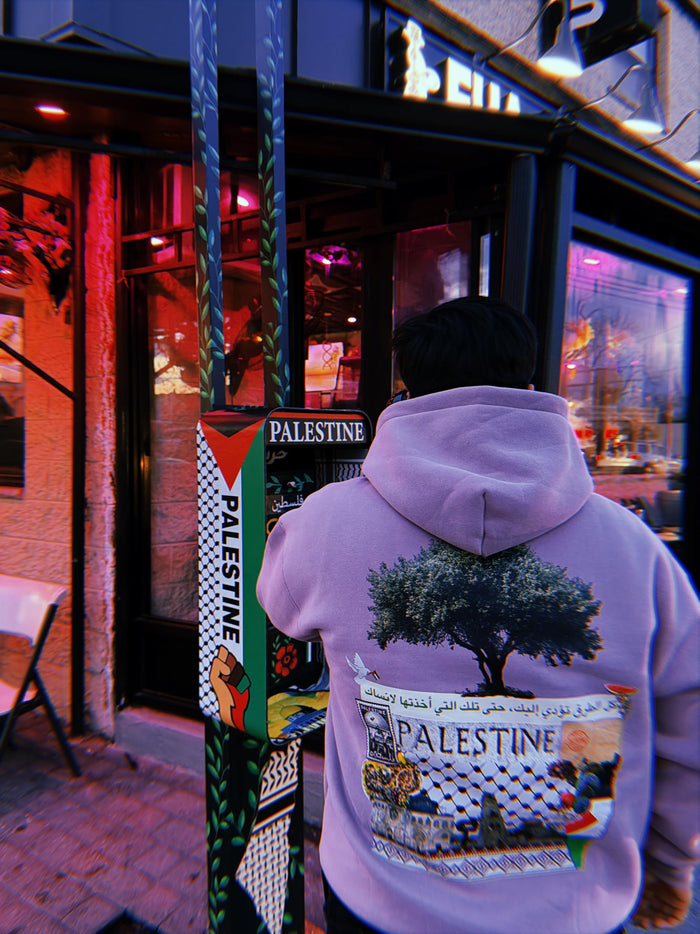 Man in a lilac Palestine hoodie next to a painted Palestine street box