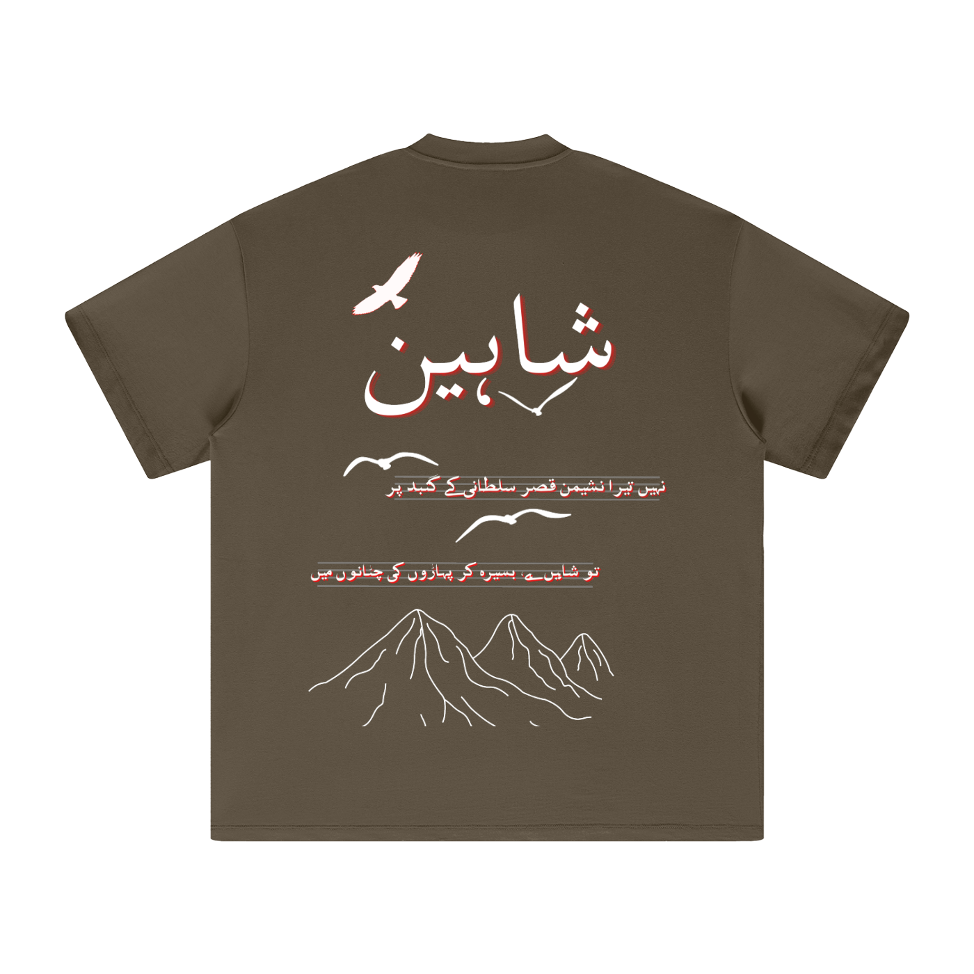 Allama Iqbal,pakistan,poem ,poetry ,asia,urdu,pakistani,freedom,safar,USA