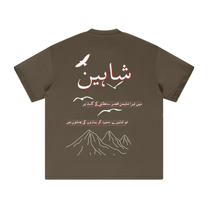Allama Iqbal,pakistan,poem ,poetry ,asia,urdu,pakistani,freedom,safar,USA