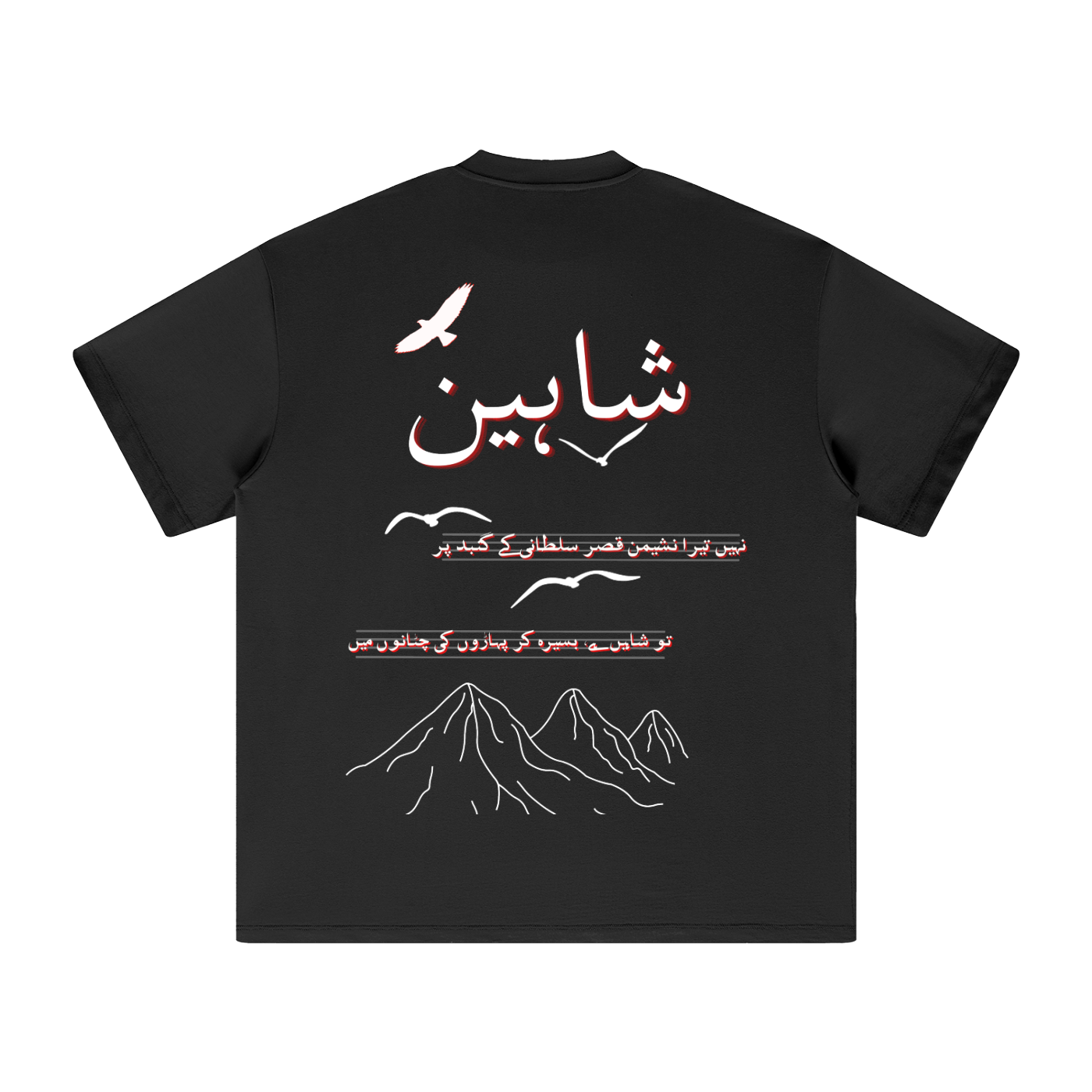 Allama Iqbal,pakistan,poem ,poetry ,asia,urdu,pakistani,freedom,safar,USA