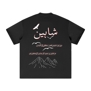 Allama Iqbal,pakistan,poem ,poetry ,asia,urdu,pakistani,freedom,safar,USA