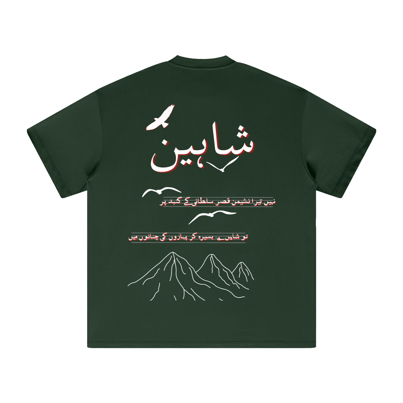 Allama Iqbal,pakistan,poem ,poetry ,asia,urdu,pakistani,freedom,safar,USA