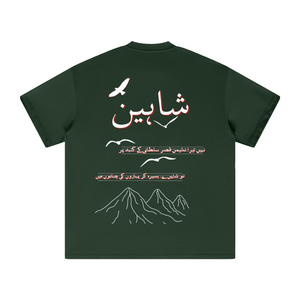 Allama Iqbal,pakistan,poem ,poetry ,asia,urdu,pakistani,freedom,safar,USA