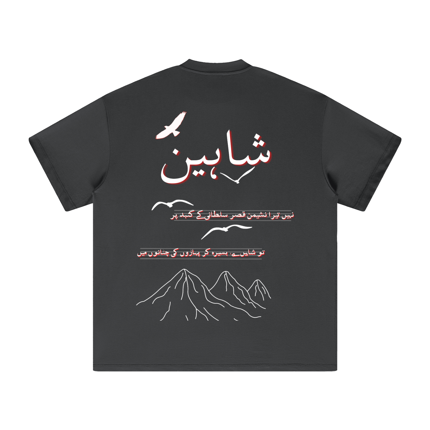 Allama Iqbal,pakistan,poem ,poetry ,asia,urdu,pakistani,freedom,safar,USA