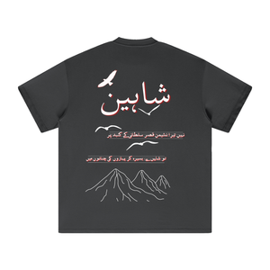 Allama Iqbal,pakistan,poem ,poetry ,asia,urdu,pakistani,freedom,safar,USA